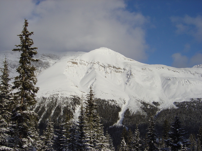 DSC04375